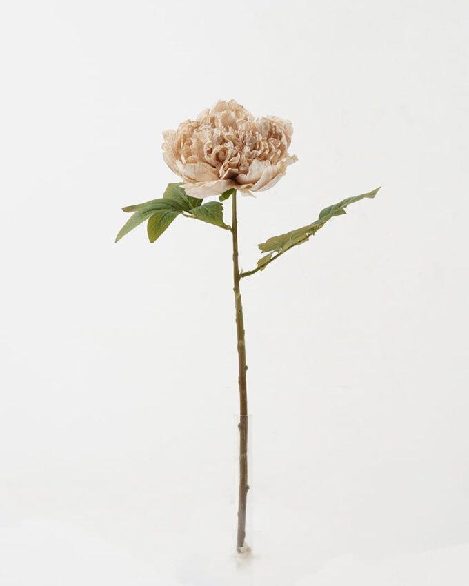 Artificial Flower 22*22*45cm Roasted dry peony single stem GS-35122008 Single Flowers YeahFlower is one of Chinese leading OEM manufacturers and exporters , supplying the silk flowers, wholesale artificial trees