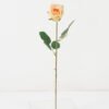 Artificial Flower Rose Single stem GS-12822003_5 Artificial Flower 14*53cm Rose Single stem GS-12822003 Single Flowers YeahFlower is one of Chinese leading OEM manufacturers and exporters , supplying the silk flowers, wholesale artificial trees