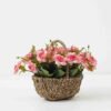 Artificial Flower Rose in Basket GS-03322092-P1 Artificial Flower 25*19*18.5cm Rose in Basket GS-03322092-P1 Potted Flowers&Plants YeahFlower is one of Chinese leading OEM manufacturers and exporters , supplying the silk flowers, wholesale artificial trees