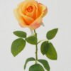 Artificial Flower Rose single stem A GS-25822003-O1_2 Artificial Flower 15*52cm Rose single stem(A) GS-25822003-O1 Single Flowers YeahFlower is one of Chinese leading OEM manufacturers and exporters , supplying the silk flowers, wholesale artificial trees