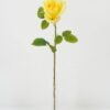 Artificial Flower Rose single stem A GS-25822003-O1_3 Artificial Flower 15*52cm Rose single stem(A) GS-25822003-O1 Single Flowers YeahFlower is one of Chinese leading OEM manufacturers and exporters , supplying the silk flowers, wholesale artificial trees