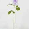 Artificial Flower Rose single stem A GS-25822003-O1_5 Artificial Flower 15*52cm Rose single stem(A) GS-25822003-O1 Single Flowers YeahFlower is one of Chinese leading OEM manufacturers and exporters , supplying the silk flowers, wholesale artificial trees