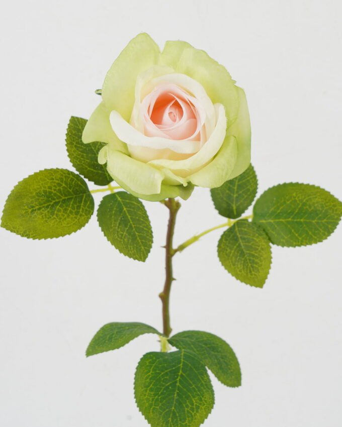 Artificial Flower Rose single stem A GS-25822003_2 Artificial Flower 15*52cm Rose single stem(A) GS-25822003 Single Flowers YeahFlower is one of Chinese leading OEM manufacturers and exporters , supplying the silk flowers, wholesale artificial trees