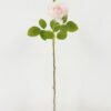 Artificial Flower Rose single stem B GS-25822001-P1_1 Artificial Flower 17*52cm Rose single stem(B) GS-25822001-P1 Single Flowers YeahFlower is one of Chinese leading OEM manufacturers and exporters , supplying the silk flowers, wholesale artificial trees