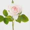 Artificial Flower Rose single stem B GS-25822001-P1_2 Artificial Flower 17*52cm Rose single stem(B) GS-25822001-P1 Single Flowers YeahFlower is one of Chinese leading OEM manufacturers and exporters , supplying the silk flowers, wholesale artificial trees