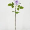 Artificial Flower 17*52cm Rose single stem(B) GS-25822001-Z1 Single Flowers YeahFlower is one of Chinese leading OEM manufacturers and exporters , supplying the silk flowers, wholesale artificial trees