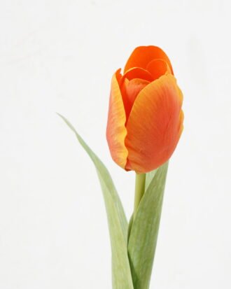 Artificial Flower 3*35cm Tulip single stem real touch GS-66222004-O1 Single Flowers YeahFlower is one of Chinese leading OEM manufacturers and exporters , supplying the silk flowers, wholesale artificial trees