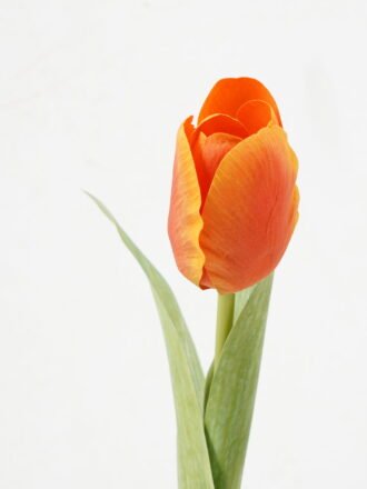 Artificial Flower 8*8*50cm Ranunculus single stem GS-66222017 Single Flowers 3,000+ sqm showroom with thousands of artificial flowers, plants & trees ready for global sourcing.