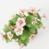 Artificial Flower Wild flowers in Basket GS-03322095-P1_2 Artificial Flower 27*17*27cm Wild flowers in Basket GS-03322095-P1 Potted Flowers&Plants YeahFlower is one of Chinese leading OEM manufacturers and exporters , supplying the silk flowers, wholesale artificial trees