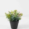 Artificial Flower Wildflower Eucalyptus in PP pot GS-03322080-G1 Artificial Flower 17*17*18cm Wildflower Eucalyptus in PP pot GS-03322080-G1 Potted Flowers&Plants YeahFlower is one of Chinese leading OEM manufacturers and exporters , supplying the silk flowers, wholesale artificial trees