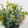 Artificial Flower Wildflower Eucalyptus in PP pot GS-03322080-G1_2 Artificial Flower 17*17*18cm Wildflower Eucalyptus in PP pot GS-03322080-G1 Potted Flowers&Plants YeahFlower is one of Chinese leading OEM manufacturers and exporters , supplying the silk flowers, wholesale artificial trees