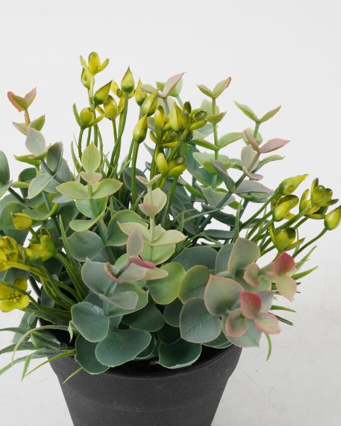Artificial Flower Wildflower Eucalyptus in PP pot GS-03322080-G1_2 Artificial Flower 17*17*18cm Wildflower Eucalyptus in PP pot GS-03322080-G1 Potted Flowers&Plants YeahFlower is one of Chinese leading OEM manufacturers and exporters , supplying the silk flowers, wholesale artificial trees
