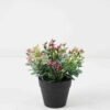 Artificial Flower Wildflower Eucalyptus in PP pot GS-03322080-G1_3 Artificial Flower 17*17*18cm Wildflower Eucalyptus in PP pot GS-03322080-G1 Potted Flowers&Plants YeahFlower is one of Chinese leading OEM manufacturers and exporters , supplying the silk flowers, wholesale artificial trees