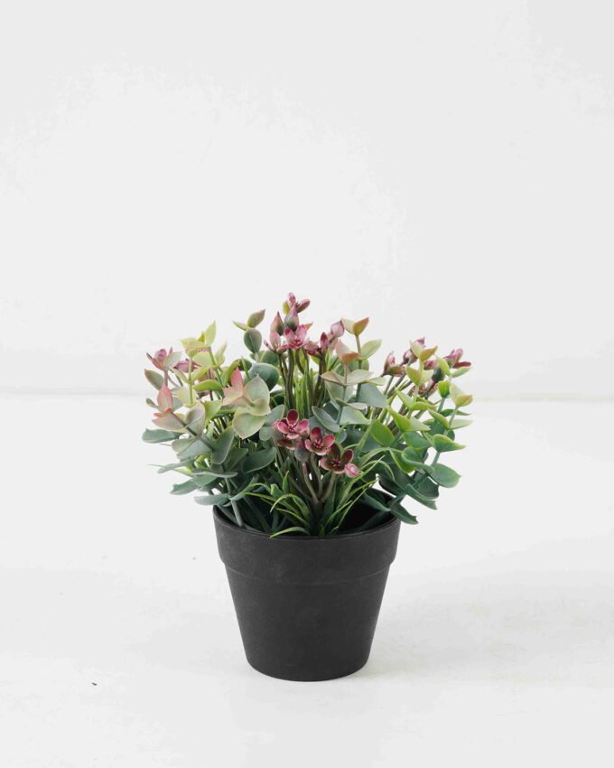 Artificial Flower Wildflower Eucalyptus in PP pot GS-03322080-G1_3 Artificial Flower 17*17*18cm Wildflower Eucalyptus in PP pot GS-03322080-G1 Potted Flowers&Plants YeahFlower is one of Chinese leading OEM manufacturers and exporters , supplying the silk flowers, wholesale artificial trees