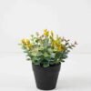 Artificial Flower Wildflower Eucalyptus in PP pot GS-03322080-G1_4 Artificial Flower 17*17*18cm Wildflower Eucalyptus in PP pot GS-03322080-G1 Potted Flowers&Plants YeahFlower is one of Chinese leading OEM manufacturers and exporters , supplying the silk flowers, wholesale artificial trees