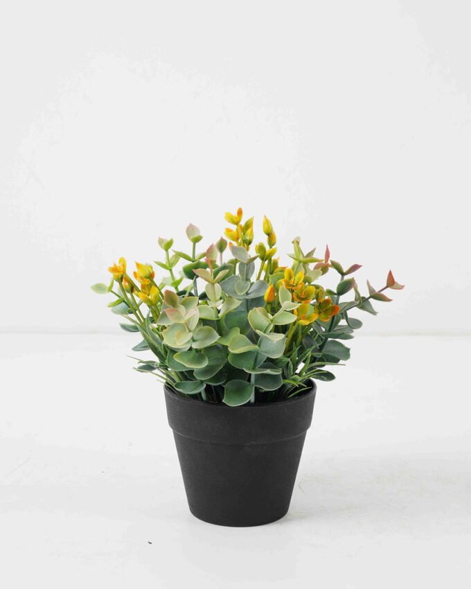 Artificial Flower Wildflower Eucalyptus in PP pot GS-03322080-G1_4 Artificial Flower 17*17*18cm Wildflower Eucalyptus in PP pot GS-03322080-G1 Potted Flowers&Plants YeahFlower is one of Chinese leading OEM manufacturers and exporters , supplying the silk flowers, wholesale artificial trees