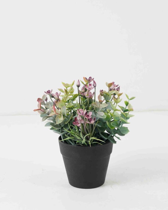 Artificial Flower Wildflower Eucalyptus in PP pot GS-03322080-G1_5 Artificial Flower 17*17*18cm Wildflower Eucalyptus in PP pot GS-03322080-G1 Potted Flowers&Plants YeahFlower is one of Chinese leading OEM manufacturers and exporters , supplying the silk flowers, wholesale artificial trees
