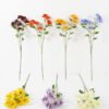 Artificial Flower 28*23*72cm daffodil single stem GS-26222010 Single Flowers YeahFlower is one of Chinese leading OEM manufacturers and exporters , supplying the silk flowers, wholesale artificial trees
