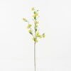 Artificial Flower mini flower single stem GS-26222006_3 Artificial Flower 20*20*96cm mini flower single stem GS-26222006 Single Flowers YeahFlower is one of Chinese leading OEM manufacturers and exporters , supplying the silk flowers, wholesale artificial trees