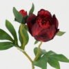 Artificial Flower peony single stem GS-53922002-R1_1 Artificial Flower 18*45cm peony single stem GS-53922002-R1 Single Flowers YeahFlower is one of Chinese leading OEM manufacturers and exporters , supplying the silk flowers, wholesale artificial trees