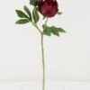 Artificial Flower peony single stem GS-53922002-R1_2 Artificial Flower 18*45cm peony single stem GS-53922002-R1 Single Flowers YeahFlower is one of Chinese leading OEM manufacturers and exporters , supplying the silk flowers, wholesale artificial trees