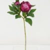 Artificial Flower peony single stem GS-53922002-R1_4 Artificial Flower 18*45cm peony single stem GS-53922002-R1 Single Flowers YeahFlower is one of Chinese leading OEM manufacturers and exporters , supplying the silk flowers, wholesale artificial trees