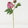 Artificial Flower peony single stem GS-53922002-Z1_1 Artificial Flower 18*45cm peony single stem GS-53922002-Z1 Single Flowers YeahFlower is one of Chinese leading OEM manufacturers and exporters , supplying the silk flowers, wholesale artificial trees