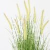 Artificial Grass 52*52*80cm Dog tail grass *10 in PP pot GS-45722009 Grass&PLANT YeahFlower is one of Chinese leading OEM manufacturers and exporters , supplying the silk flowers, wholesale artificial trees