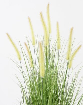 Artificial Grass 52*52*80cm Dog tail grass *10 in PP pot GS-45722009 Grass&PLANT YeahFlower is one of Chinese leading OEM manufacturers and exporters , supplying the silk flowers, wholesale artificial trees