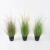 Artificial Grass Dog tail grass 10 in PP pot GS-45722011 Artificial Grass 52*52*80cm Dog tail grass *10 in PP pot GS-45722011 Grass&PLANT YeahFlower is one of Chinese leading OEM manufacturers and exporters , supplying the silk flowers, wholesale artificial trees
