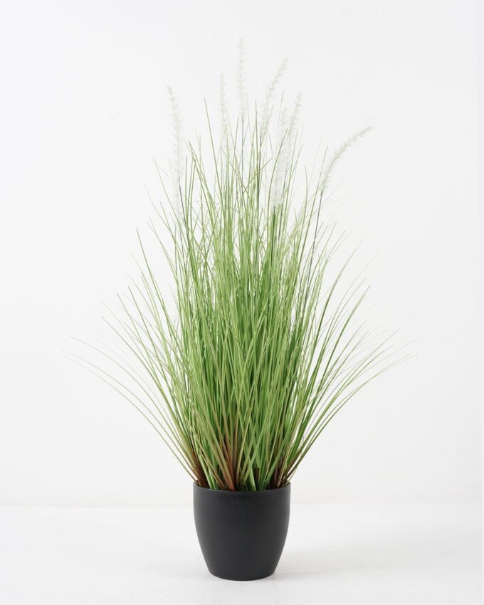 Artificial Grass Dog tail grass 10 in PP pot GS-45722011_4 Artificial Grass 52*52*80cm Dog tail grass *10 in PP pot GS-45722011 Grass&PLANT YeahFlower is one of Chinese leading OEM manufacturers and exporters , supplying the silk flowers, wholesale artificial trees