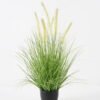 Artificial Grass 40*40*59cm Dog tail grass *7 in PP pot GS-45722010-G1 Grass&PLANT YeahFlower is one of Chinese leading OEM manufacturers and exporters , supplying the silk flowers, wholesale artificial trees