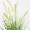 Artificial Grass 40*40*59cm Dog tail grass *7 in PP pot GS-45722010-G1 Grass&PLANT YeahFlower is one of Chinese leading OEM manufacturers and exporters , supplying the silk flowers, wholesale artificial trees