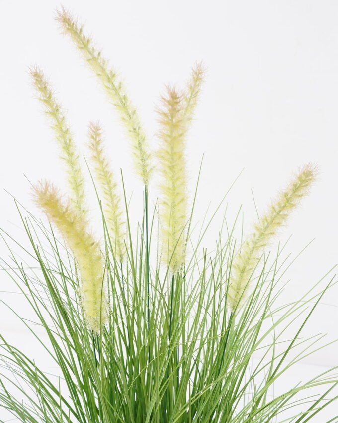 Artificial Grass 40*40*59cm Dog tail grass *7 in PP pot GS-45722010-G1 Grass&PLANT YeahFlower is one of Chinese leading OEM manufacturers and exporters , supplying the silk flowers, wholesale artificial trees
