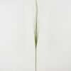 Artificial Grass 6*110cm Flocking Grass single stem GS-29422053 Grass&PLANT YeahFlower is one of Chinese leading OEM manufacturers and exporters , supplying the silk flowers, wholesale artificial trees