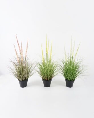 Artificial Grass 52*52*85cm Foxtail grass *4 in PP pot GS-45722002