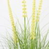 Artificial Grass Foxtail grass 4 in PP pot GS-45722002_2 Artificial Grass 52*52*85cm Foxtail grass *4 in PP pot GS-45722002 Grass&PLANT YeahFlower is one of Chinese leading OEM manufacturers and exporters , supplying the silk flowers, wholesale artificial trees
