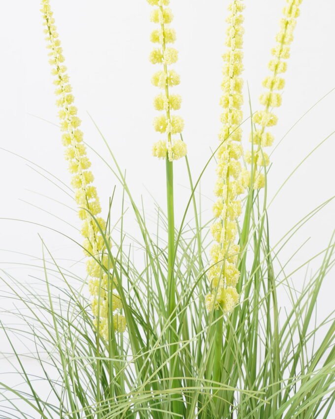 Artificial Grass Foxtail grass 4 in PP pot GS-45722002_2 Artificial Grass 52*52*85cm Foxtail grass *4 in PP pot GS-45722002 Grass&PLANT YeahFlower is one of Chinese leading OEM manufacturers and exporters , supplying the silk flowers, wholesale artificial trees