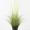 Artificial Grass Foxtail grass 4 in PP pot GS-45722002_3 Artificial Grass 52*52*85cm Foxtail grass *4 in PP pot GS-45722002 Grass&PLANT YeahFlower is one of Chinese leading OEM manufacturers and exporters , supplying the silk flowers, wholesale artificial trees