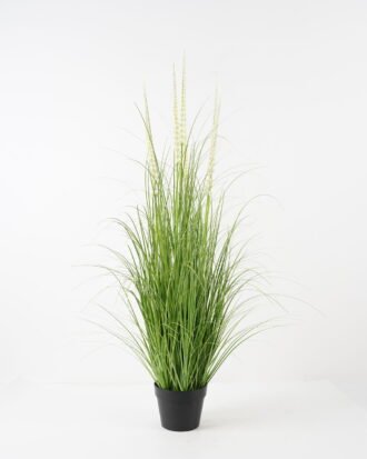 Artificial Grass 75*75*120cm Foxtail grass *7 in PP pot GS-45722003 Grass&PLANT YeahFlower is one of Chinese leading OEM manufacturers and exporters , supplying the silk flowers, wholesale artificial trees