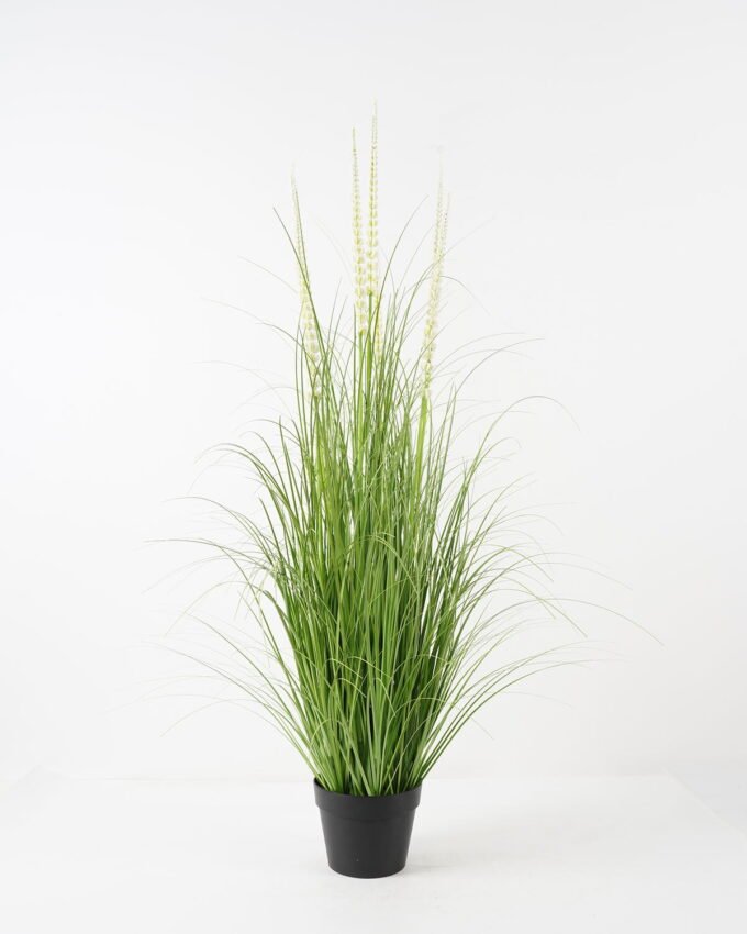Artificial Grass 75*75*120cm Foxtail grass *7 in PP pot GS-45722003 Grass&PLANT YeahFlower is one of Chinese leading OEM manufacturers and exporters , supplying the silk flowers, wholesale artificial trees