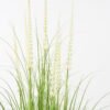 Artificial Grass 75*75*120cm Foxtail grass *7 in PP pot GS-45722003 Grass&PLANT YeahFlower is one of Chinese leading OEM manufacturers and exporters , supplying the silk flowers, wholesale artificial trees