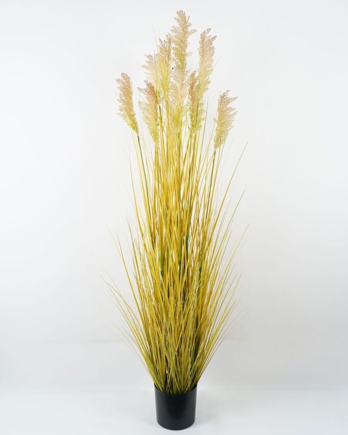 Artificial Grass 70*70*180CM Grass in PP pot GS-61922019-Y1 Grass&PLANT YeahFlower is one of Chinese leading OEM manufacturers and exporters , supplying the silk flowers, wholesale artificial trees