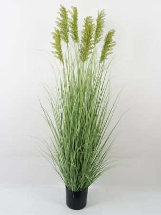 Artificial Grass 55*55*120CM Grass in PP pot GS-61922021-Z1 Grass&PLANT 3,000+ sqm showroom with thousands of artificial flowers, plants & trees ready for global sourcing.