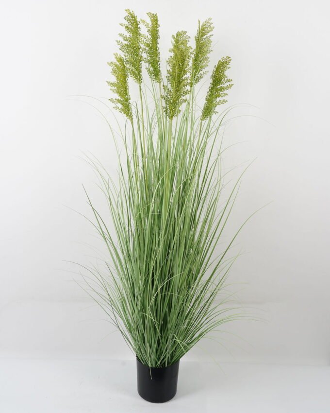 Artificial Grass 55*55*150CM Grass in PP pot GS-61922020-G1 Grass&PLANT YeahFlower is one of Chinese leading OEM manufacturers and exporters , supplying the silk flowers, wholesale artificial trees