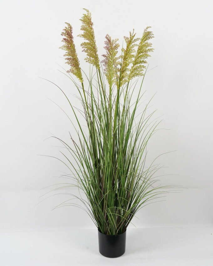 Artificial Grass 55*55*120CM Grass in PP pot GS-61922021-Z1 Grass&PLANT YeahFlower is one of Chinese leading OEM manufacturers and exporters , supplying the silk flowers, wholesale artificial trees