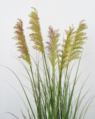 Artificial Grass 55*55*120CM Grass in PP pot GS-61922021-Z1 Grass&PLANT YeahFlower is one of Chinese leading OEM manufacturers and exporters , supplying the silk flowers, wholesale artificial trees