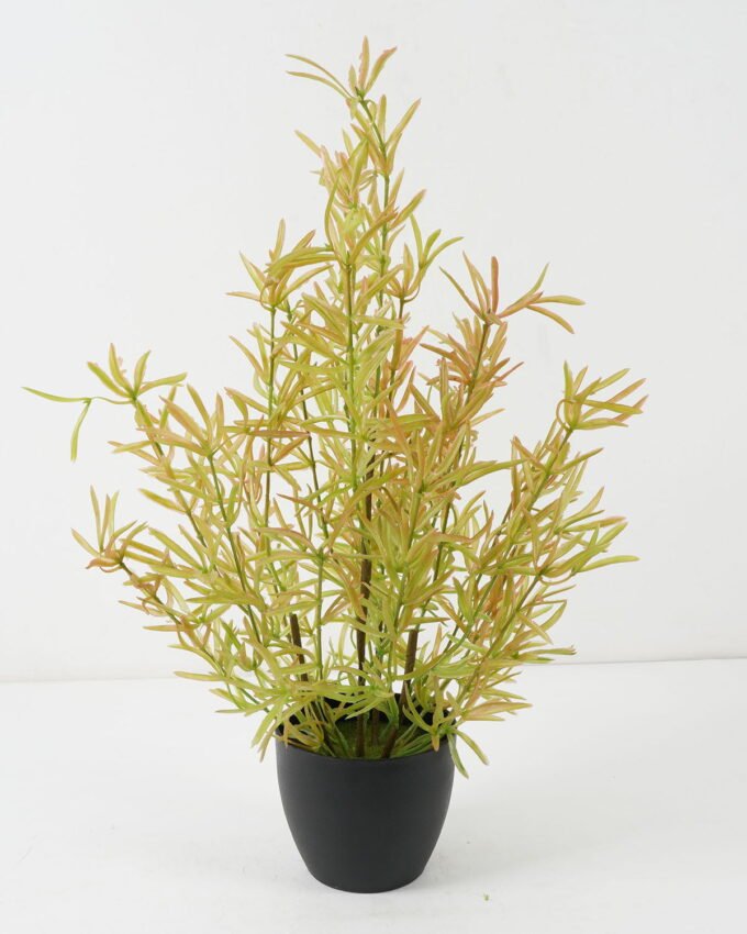 Artificial Grass Grass in PP pot GS-61922033_3 Artificial Grass 35*35*60CM Grass in PP pot GS-61922033 Grass&PLANT YeahFlower is one of Chinese leading OEM manufacturers and exporters , supplying the silk flowers, wholesale artificial trees