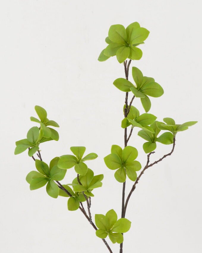 Artificial Plant 24*24*66cm 3D Eculyputs leaves GS-26222015 Leaves&Sprays&Foliages YeahFlower is one of Chinese leading OEM manufacturers and exporters , supplying the silk flowers, wholesale artificial trees