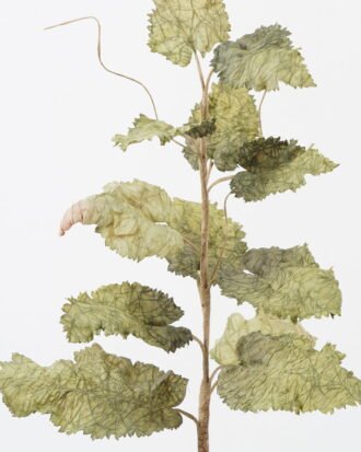 Artificial Plant 30*30*76cm Autumn poppy leaves single stem GS-35122016-G1 Leaves&Sprays&Foliages YeahFlower is one of Chinese leading OEM manufacturers and exporters , supplying the silk flowers, wholesale artificial trees